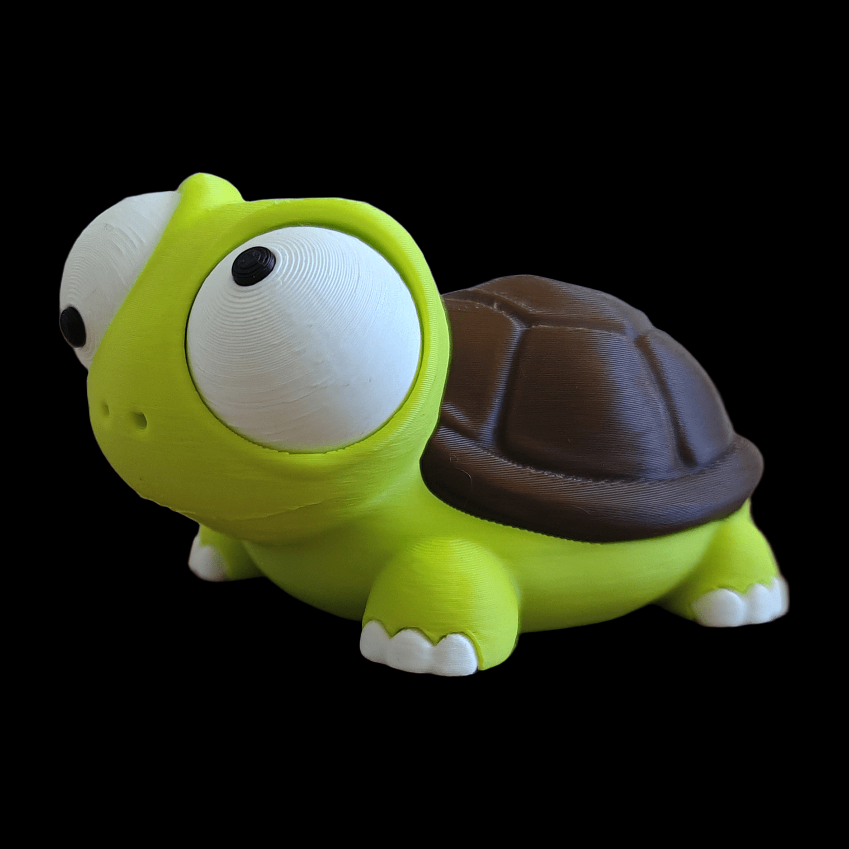 Turtle with moving eyes