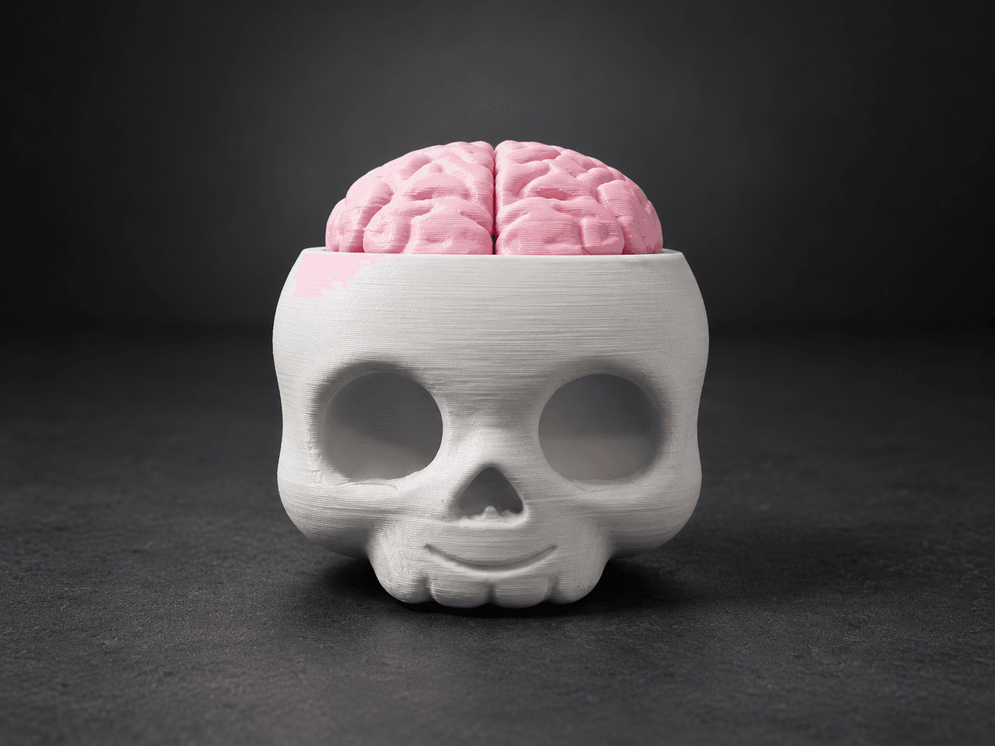 Clicker skull with brain