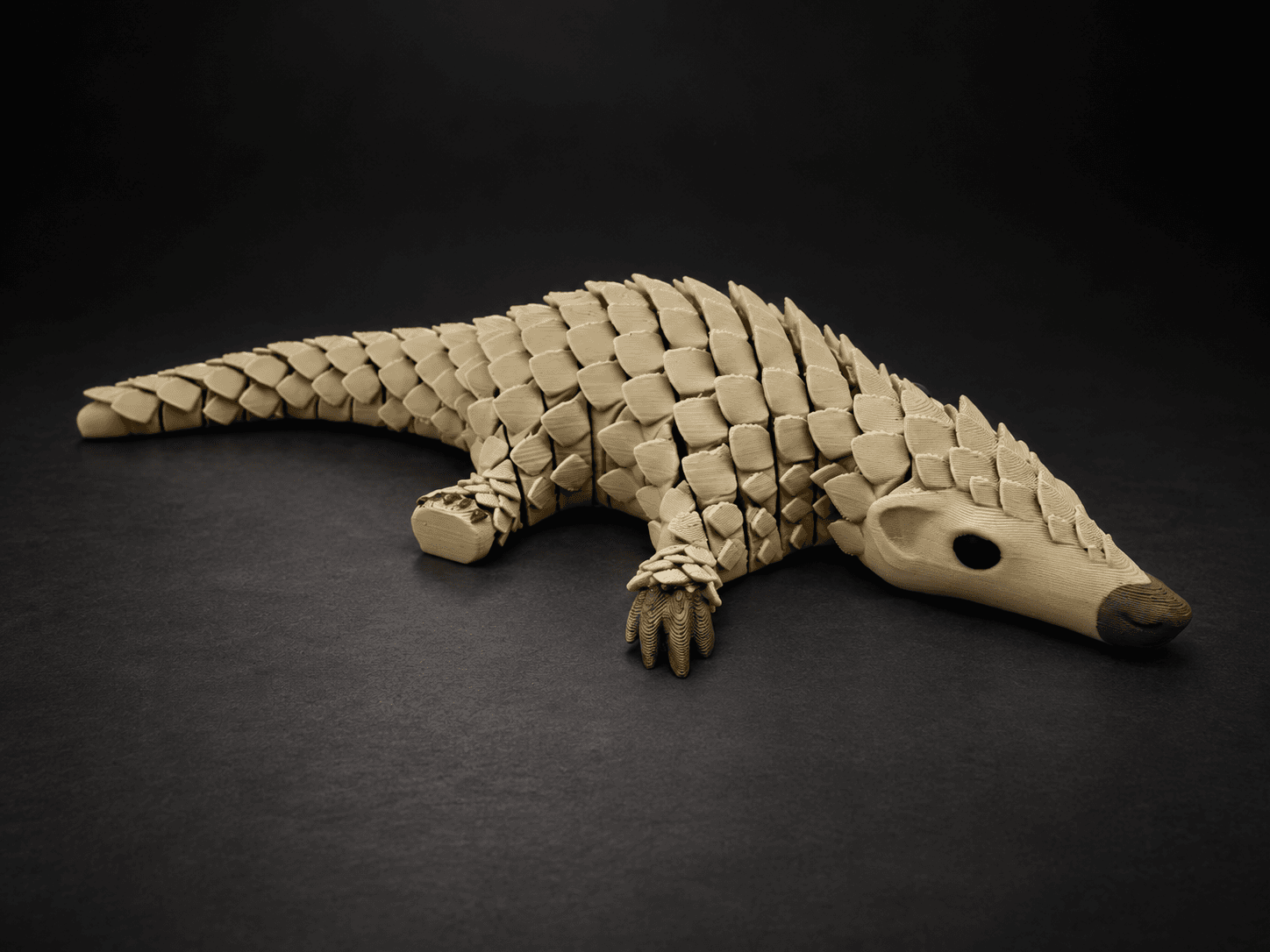 Articulated Pangolin