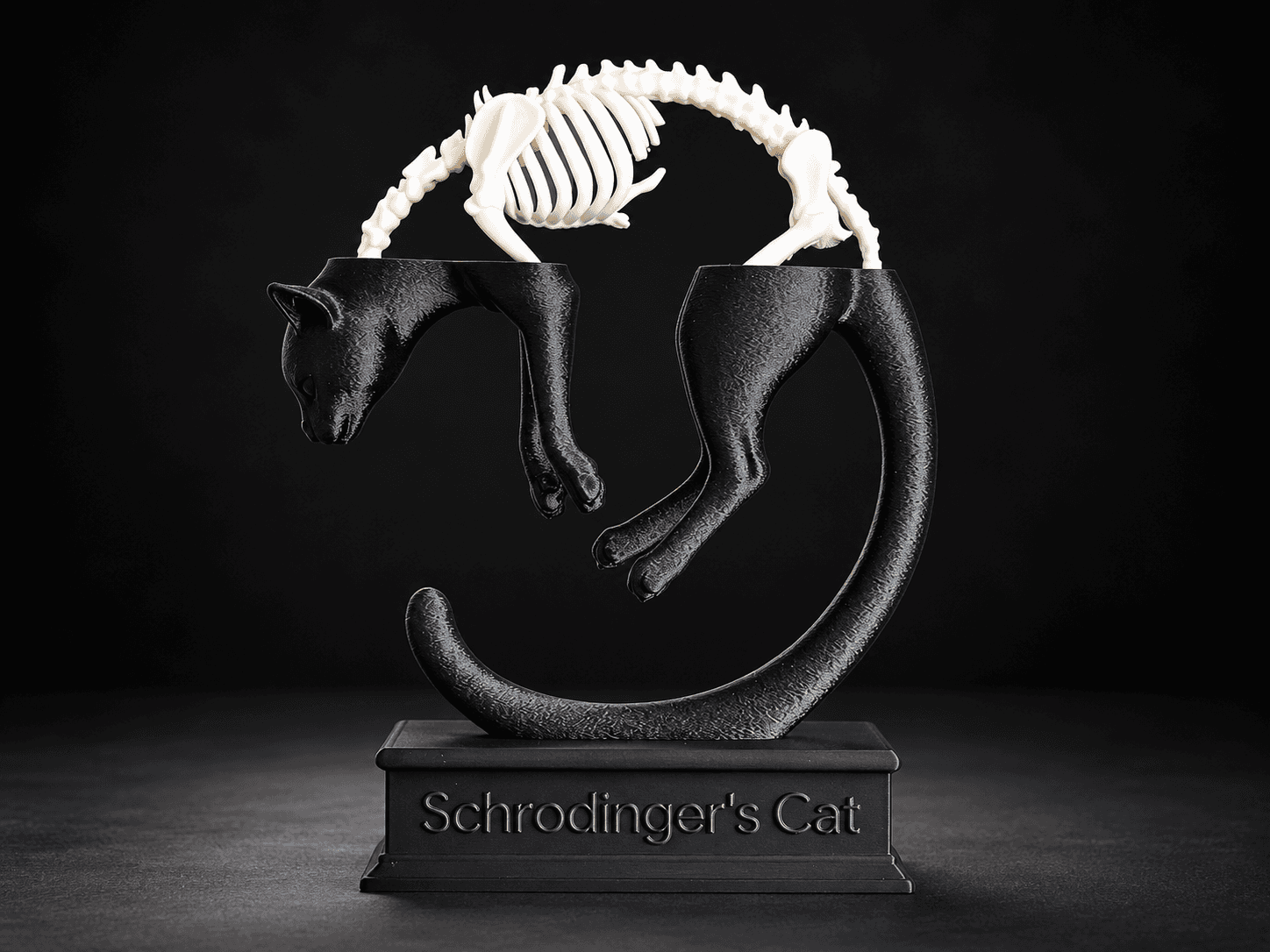 Schrödinger's Cat Sculpture